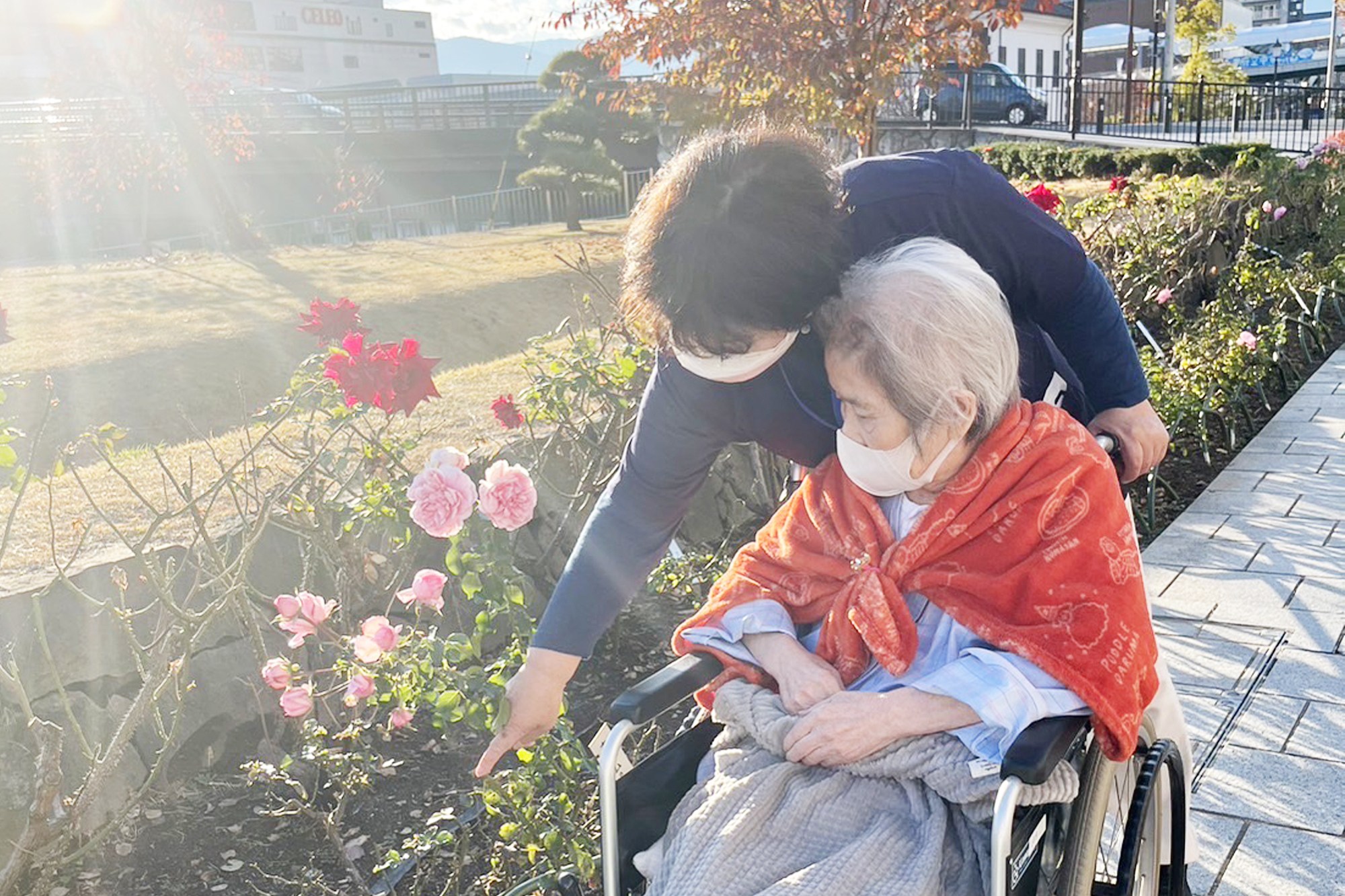 スタッフが車椅子の高齢者と庭園の花を一緒に観賞している風景